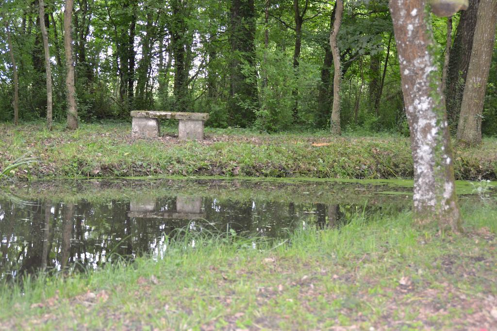 Gite De La Ronceraie Chaumont-sur-Loire Εξωτερικό φωτογραφία