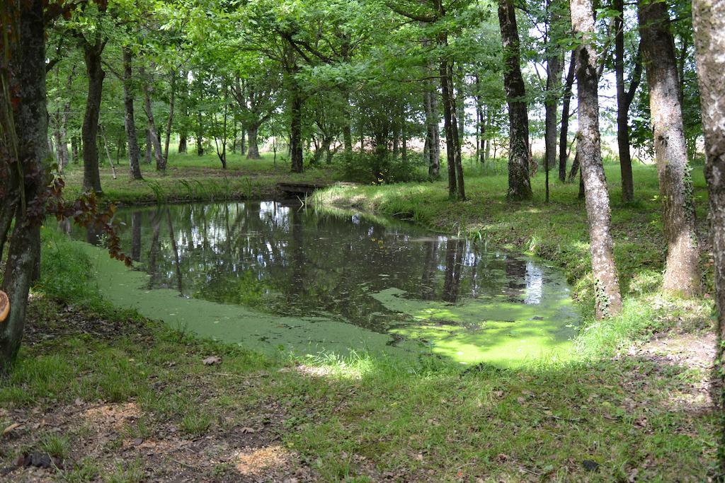 Gite De La Ronceraie Chaumont-sur-Loire Εξωτερικό φωτογραφία
